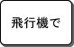 飛行機で